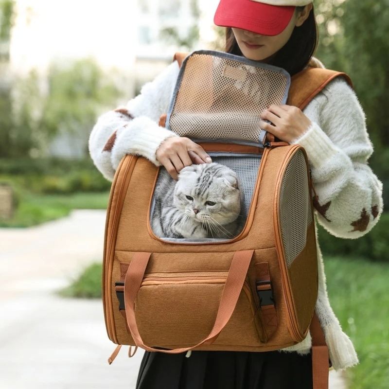 حقيبة ظهر قابلة للتوسيع والطي  - مراجعة Foldable Backpack Small وسعره