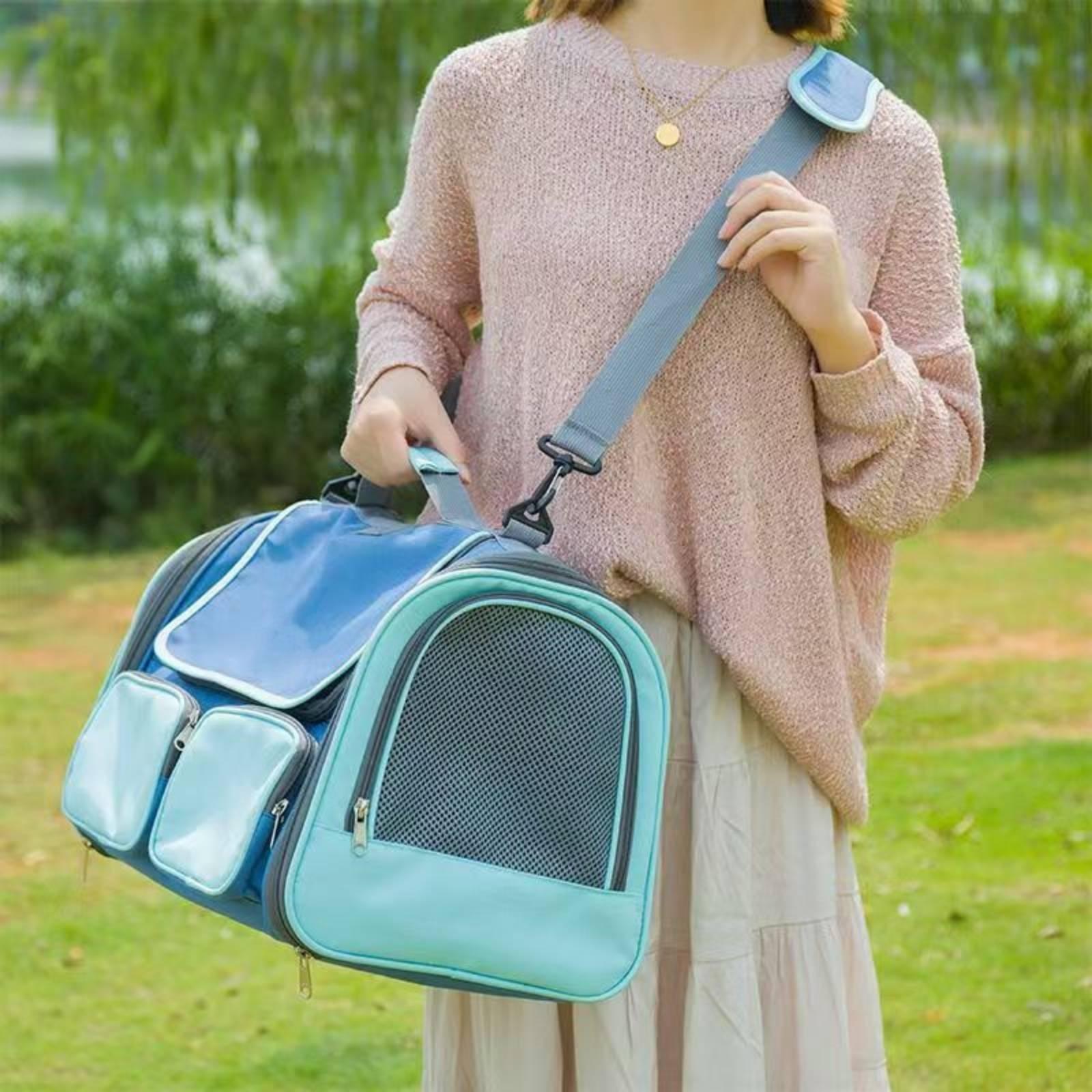 حقيبة حمل كلاب قابلة للطي وذات - مراجعة Foldable Backpack Small وسعره